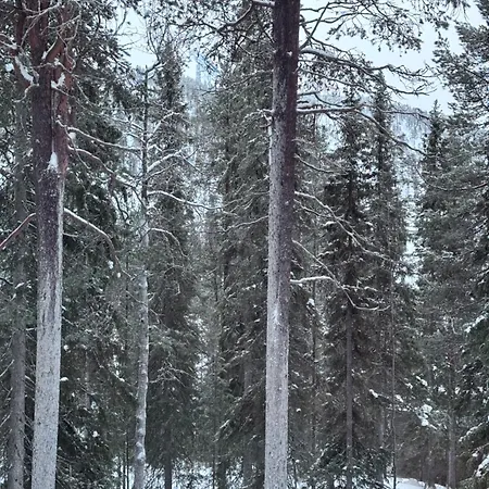 Chalet Boreale * Ruka
